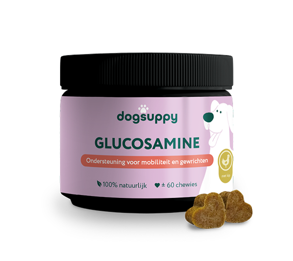 DogSuppy Glucosamine 180gram