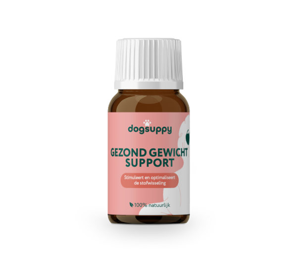 DogSuppy Gezond Gewicht Support 100ml