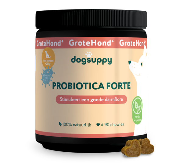 DogSuppy Probiotica Grote Hond Insect 360gram