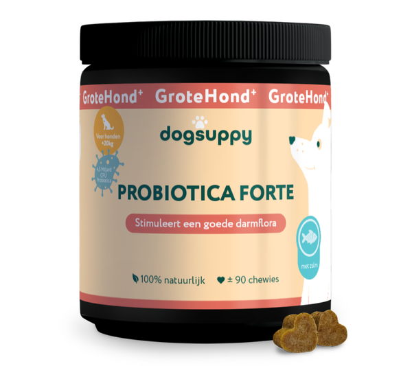 DogSuppy Probiotica Grote Hond Zalm 360gram