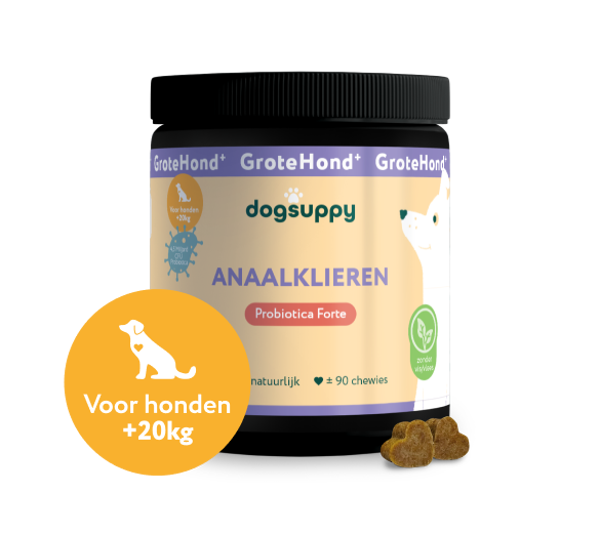 DogSuppy Anaalklieren Grote Hond 360gram