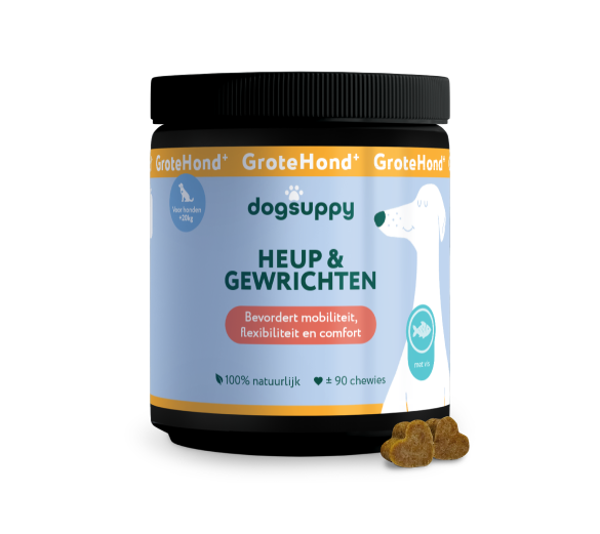 DogSuppy Heup & Gewrichten Grote Hond 360gram