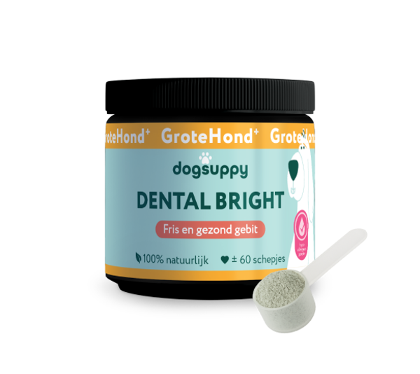 DogSuppy Dental Bright Grote Hond 250gram