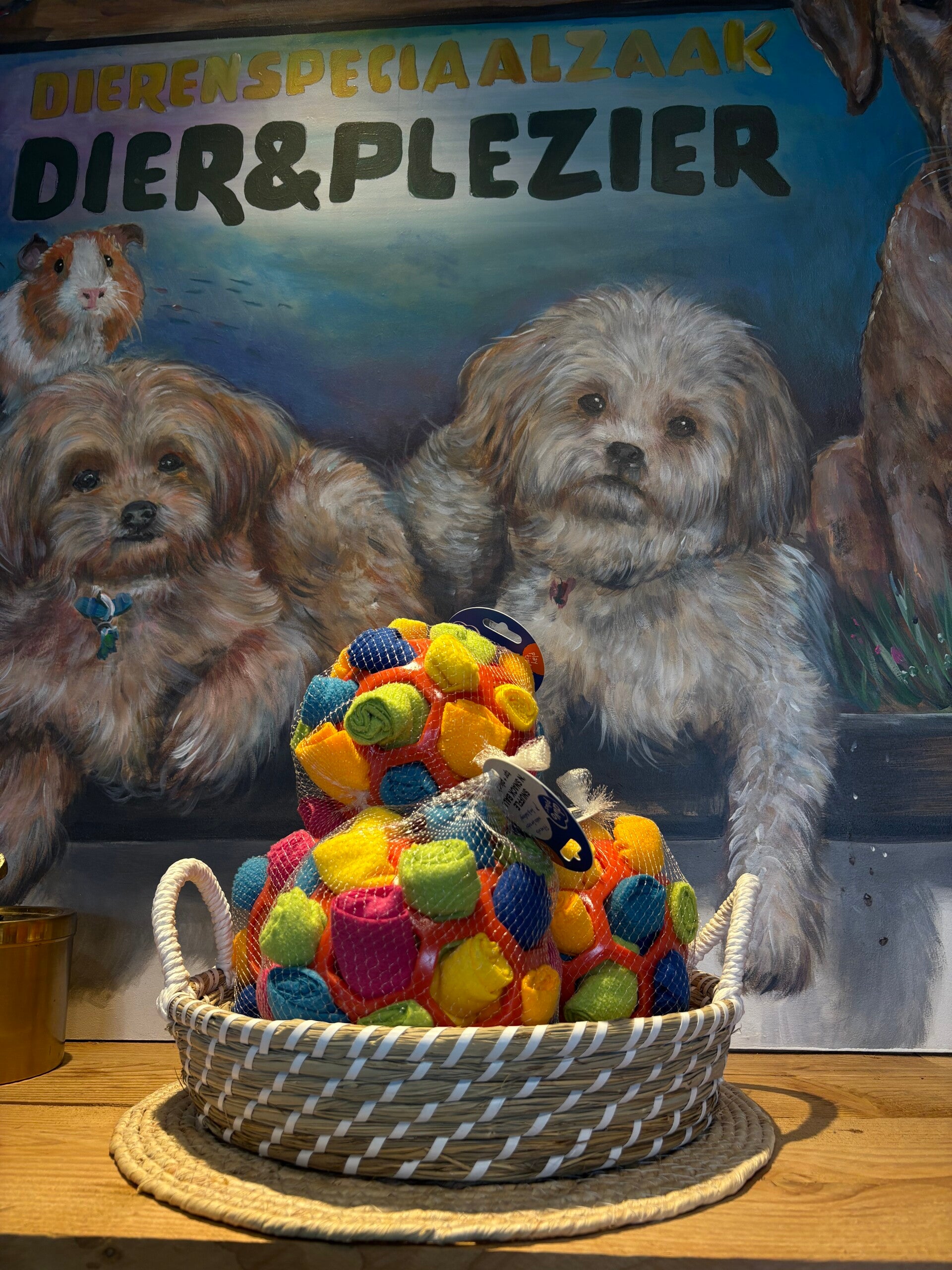 Snuffel bal hond