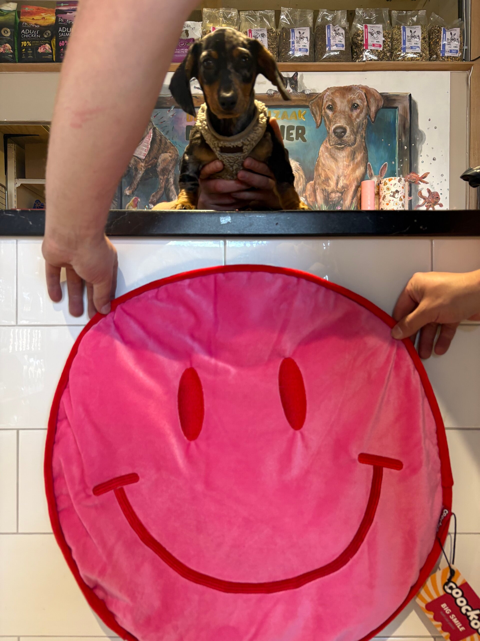 Smiley plaid roze