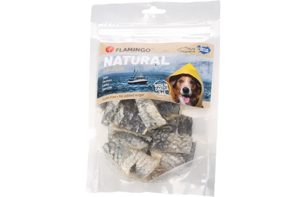 Snack Nature Zalmhuid Kort 60gram