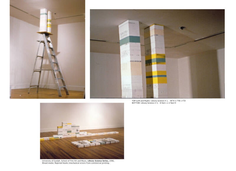 Social Institutions, Disciplines, and Practices 2.jpg