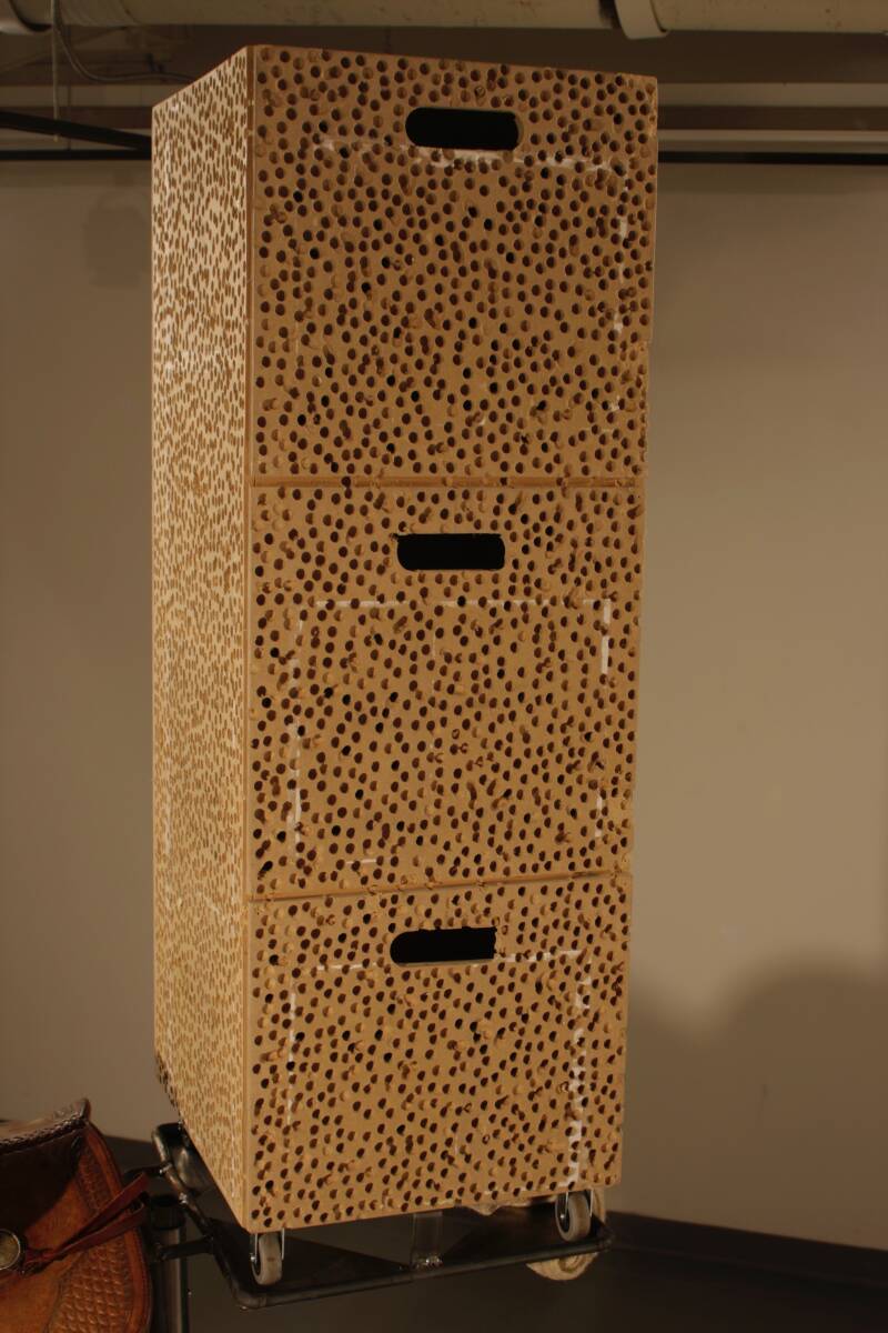 Center Cabinet Carried by a Horse 2.jpg