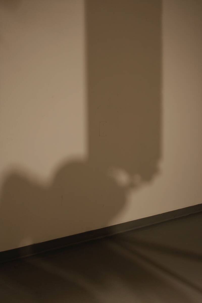 Center Cabinet Carried by a Horse 4.jpg