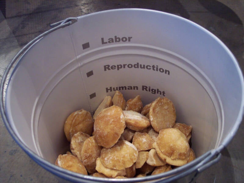 Legacy, Health, and Post -Colonization .jpg