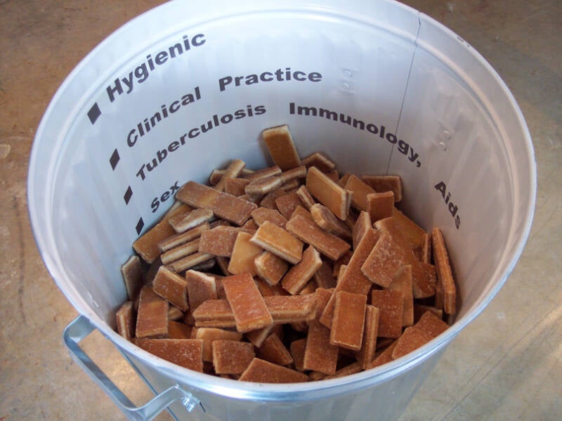 Legacy, Health, and Post -Colonization 4.jpg