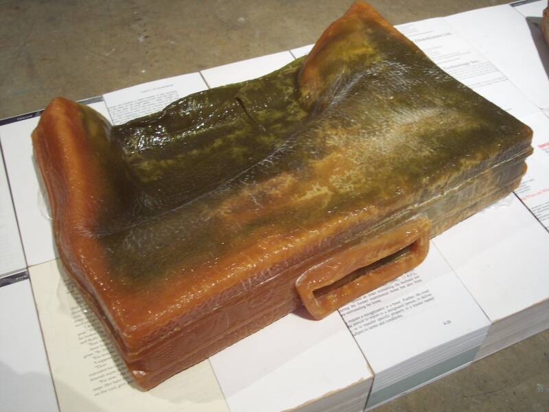 Wealth, Globalization, and Gaps in 1% and 99% 5.jpg