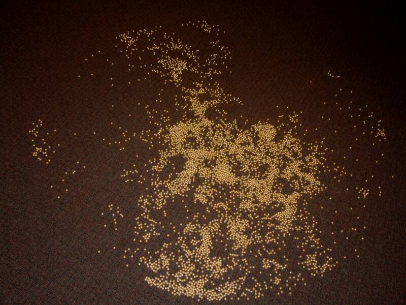 The Burden of 4,000 Pearls: Beautiful Dream 2.jpg