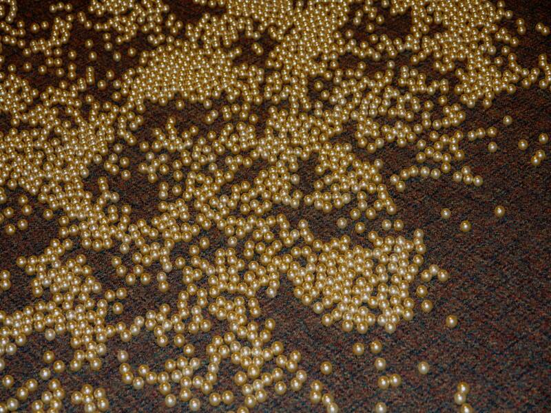 The Burden of 4,000 Pearls: Beautiful Dream.jpg