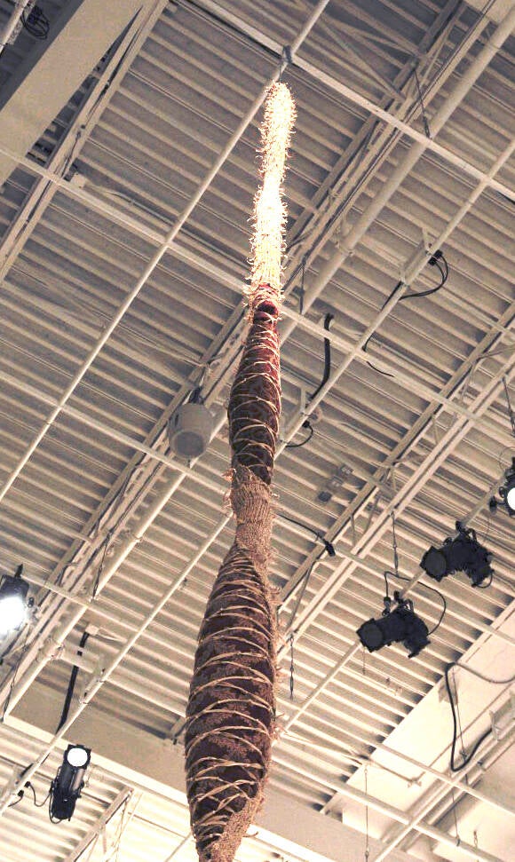 Demulsify: Elastic Band Vessel 4.jpg