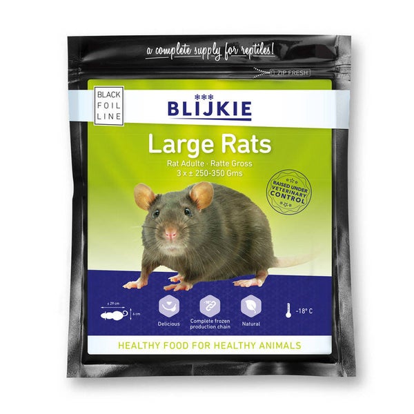 Blijkie Rat