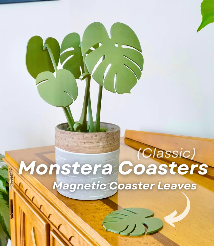 Monstera onderlegger plant | Inclusief 3D geprinte pot