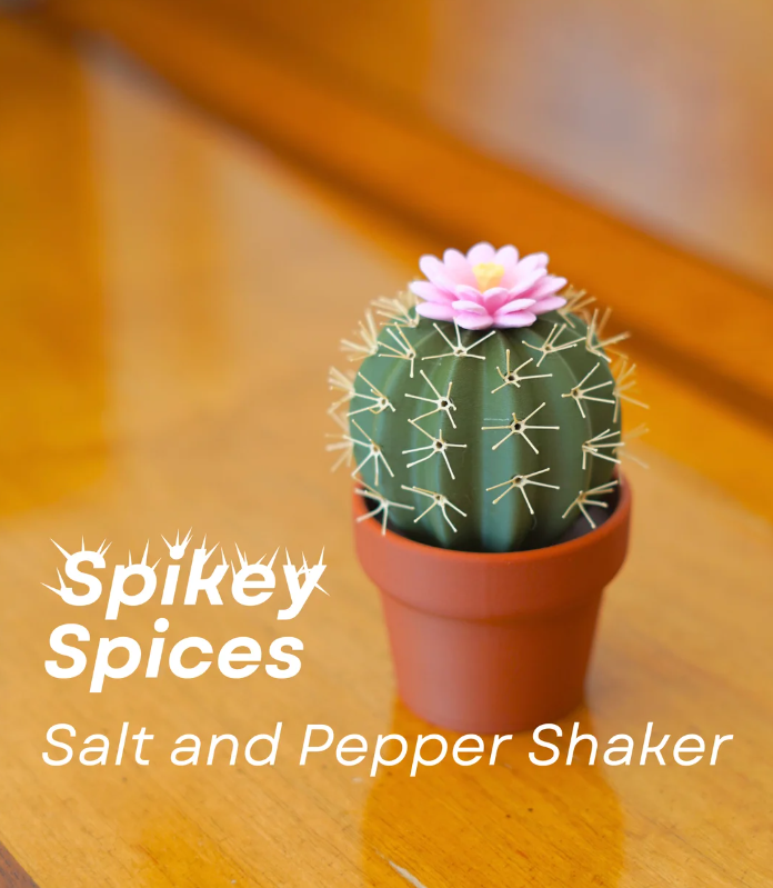 Cactus peper- en zoutstrooier