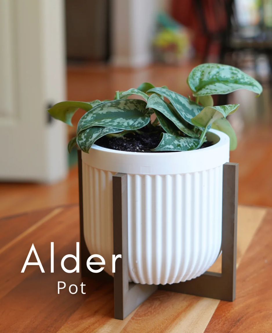 Alder Pot