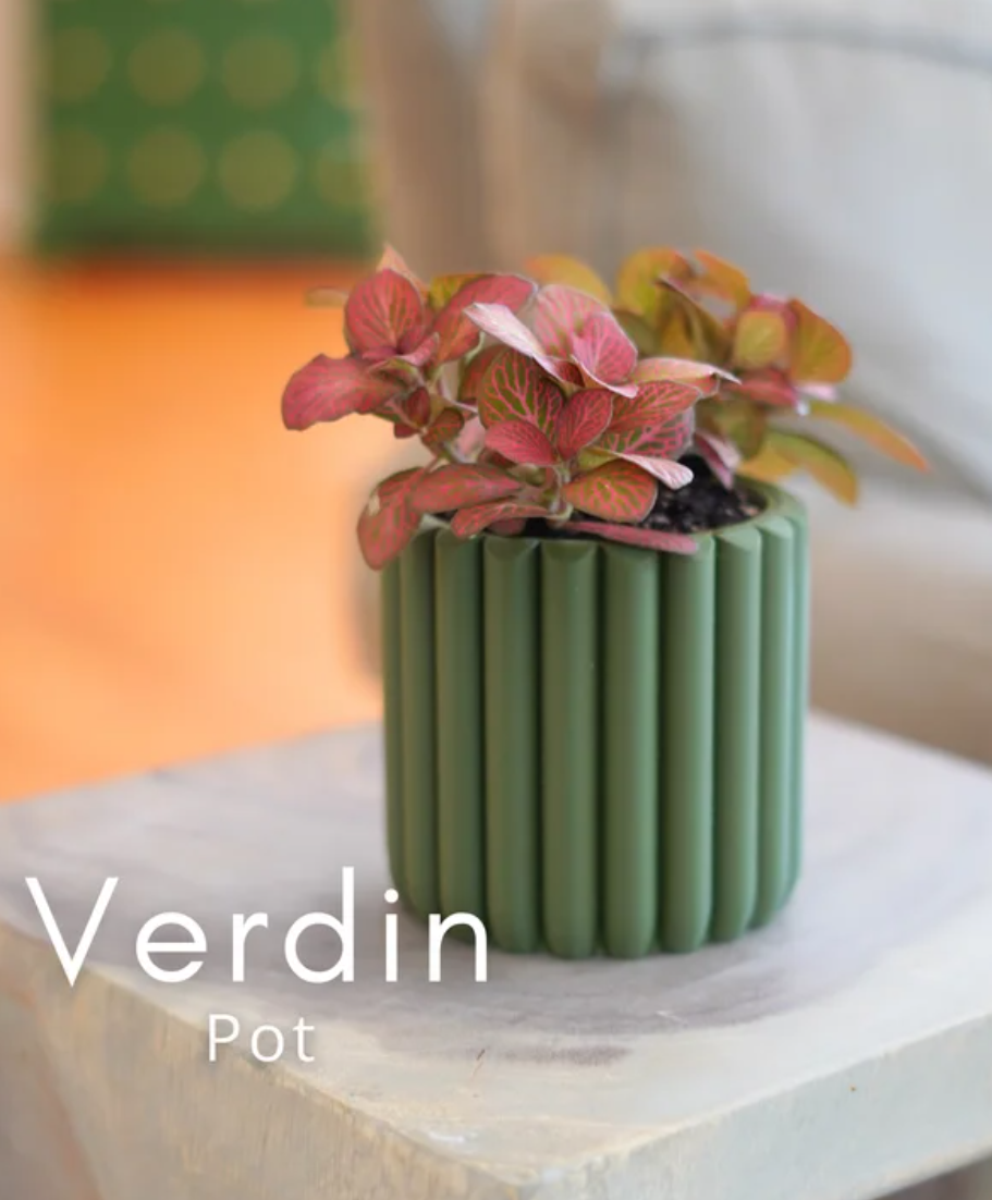 Verdin Pot