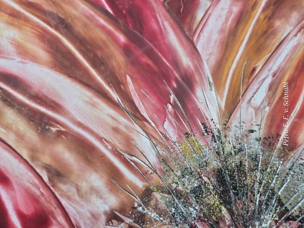 bildfüllende Blüte