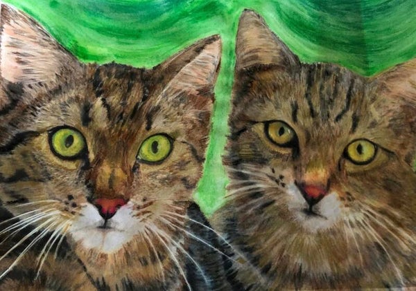 Portrait Ihres Haustieres