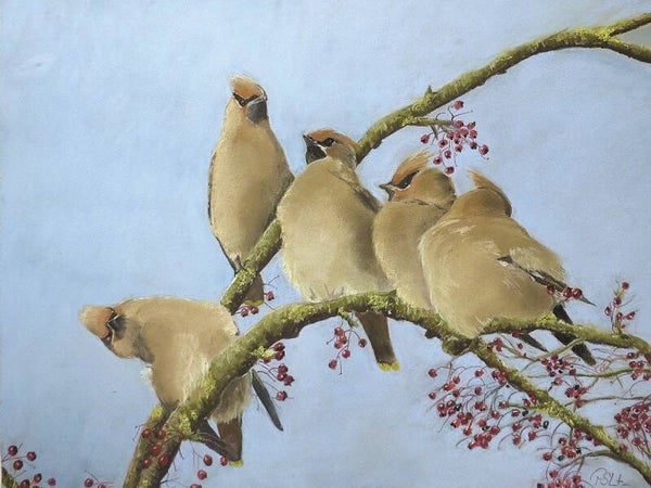The Berry Busters.  SOLD