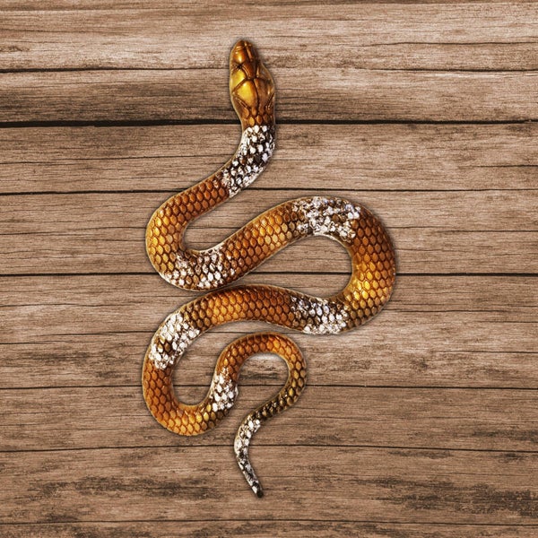 DÉCO SERPENT BRUN