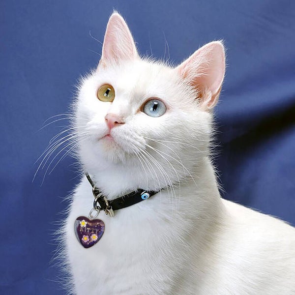 MÉDAILLE KITTY
