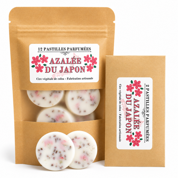 AZALÉE DU JAPON
