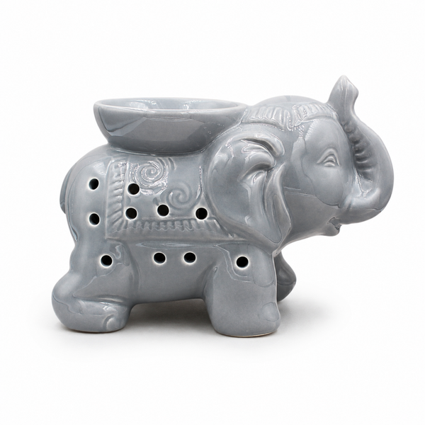 ÉLÉPHANT 1
