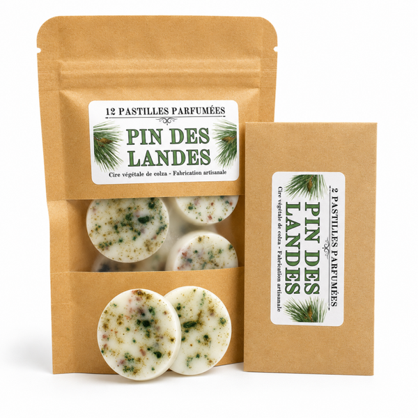PIN DES LANDES