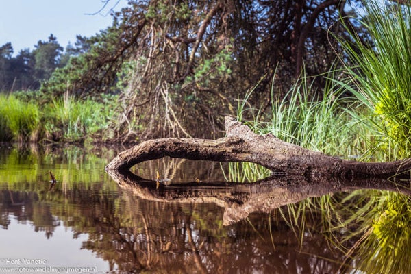 Fotowandeling De Vennen 9 januari 2022 (geannuleerd door Lockdown)