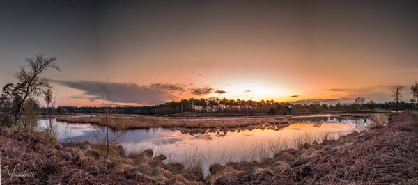 Donderdag 18 april 2024 - Masterclass Natuurfotografie