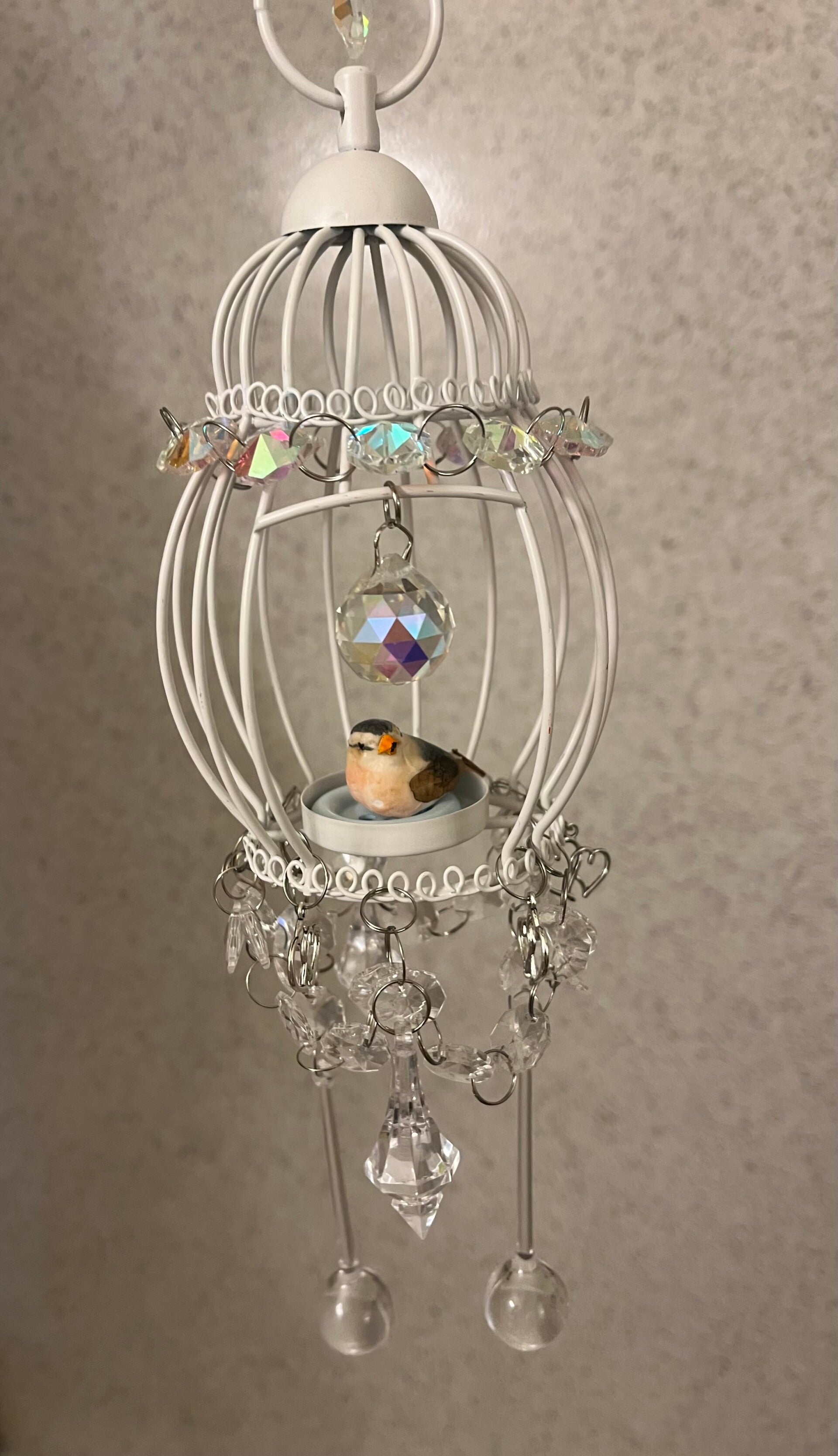 Crystal Birdcage
