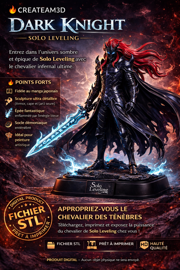 Dark Knight chevelure au vent – Solo Leveling