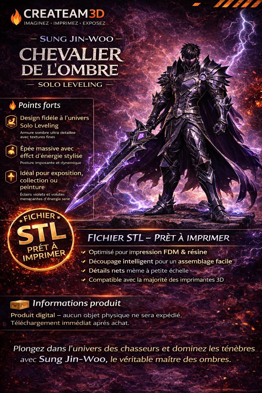 Sung Jin-Woo – Chevalier de l’Ombre (Solo Leveling)