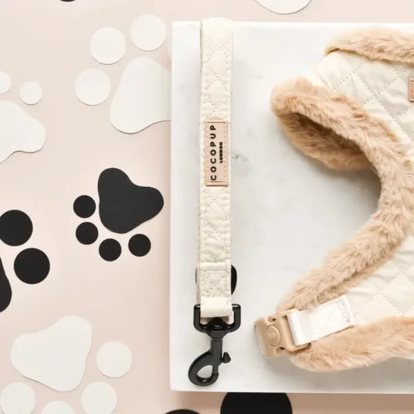 Laisse matelassee créme