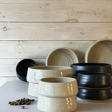 Bol pour animaux wave