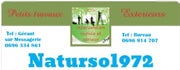 NATURSOL972.COM