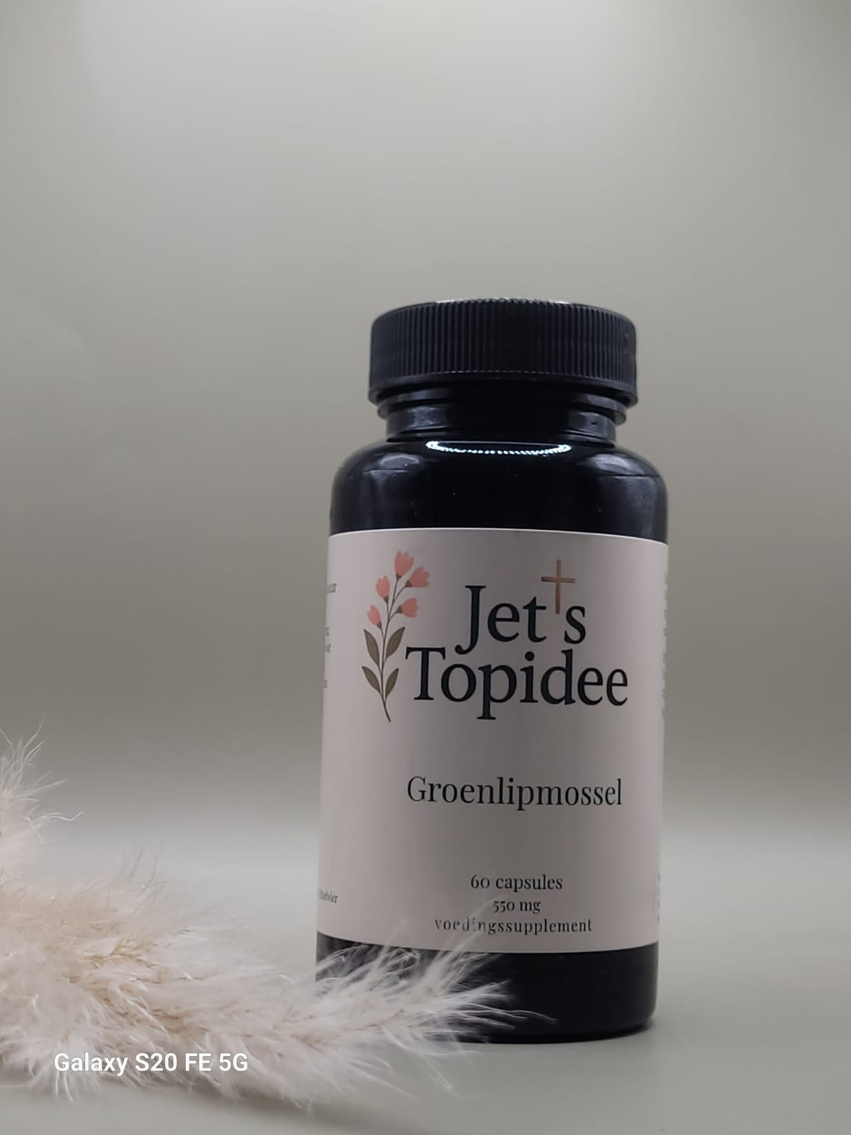 groenlipmossel Jet's topidee