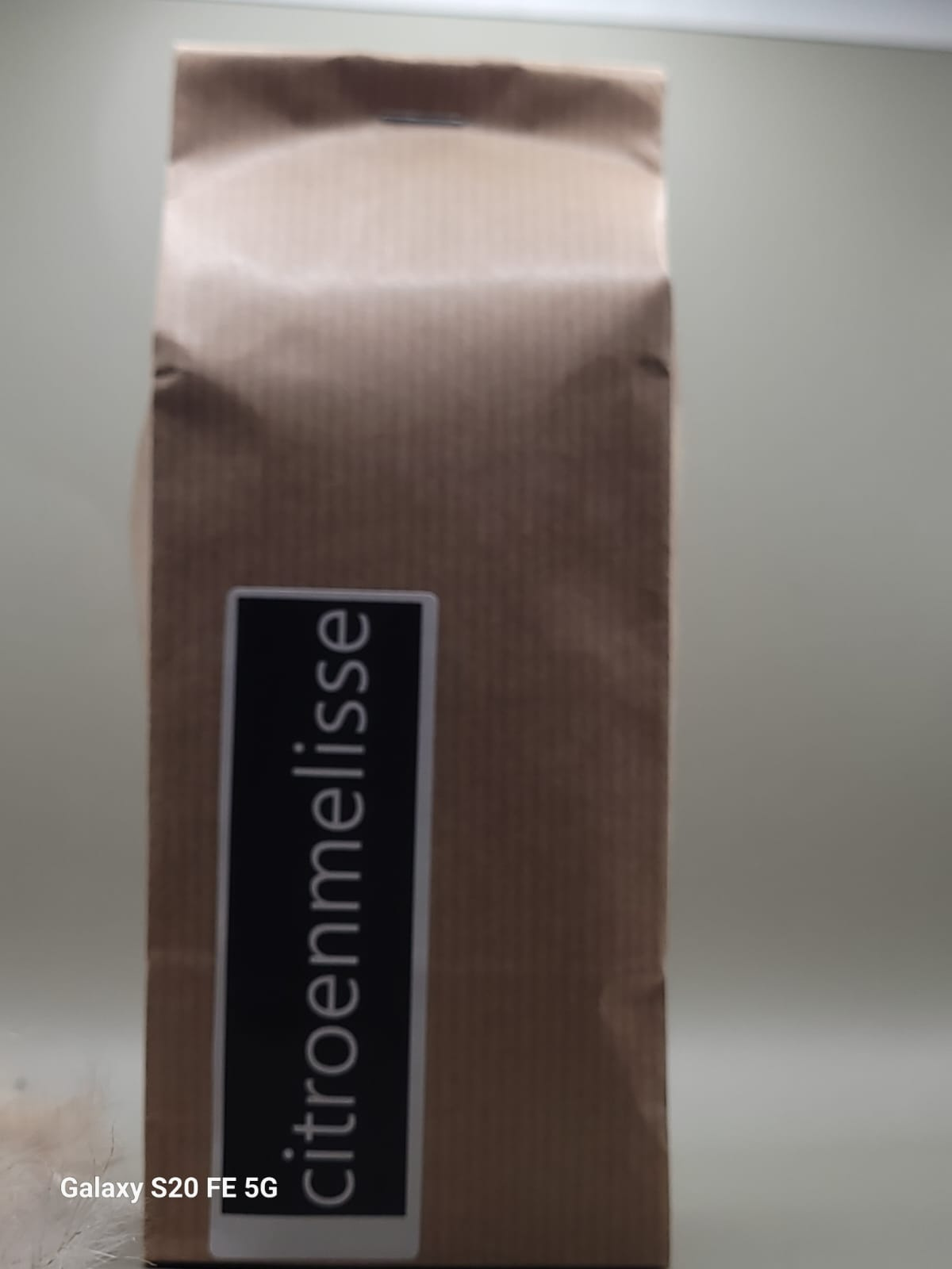 citroenmelisse Jet's topidee