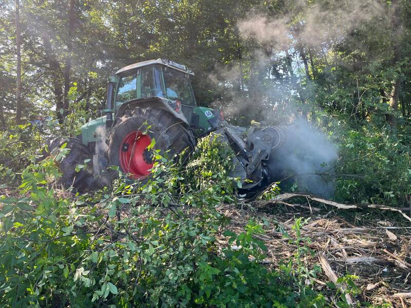 Ciągnik Fendt z mulczerem podczas mulczowania powierzchniowego gęstych zarośli, krzewów i samosiejek