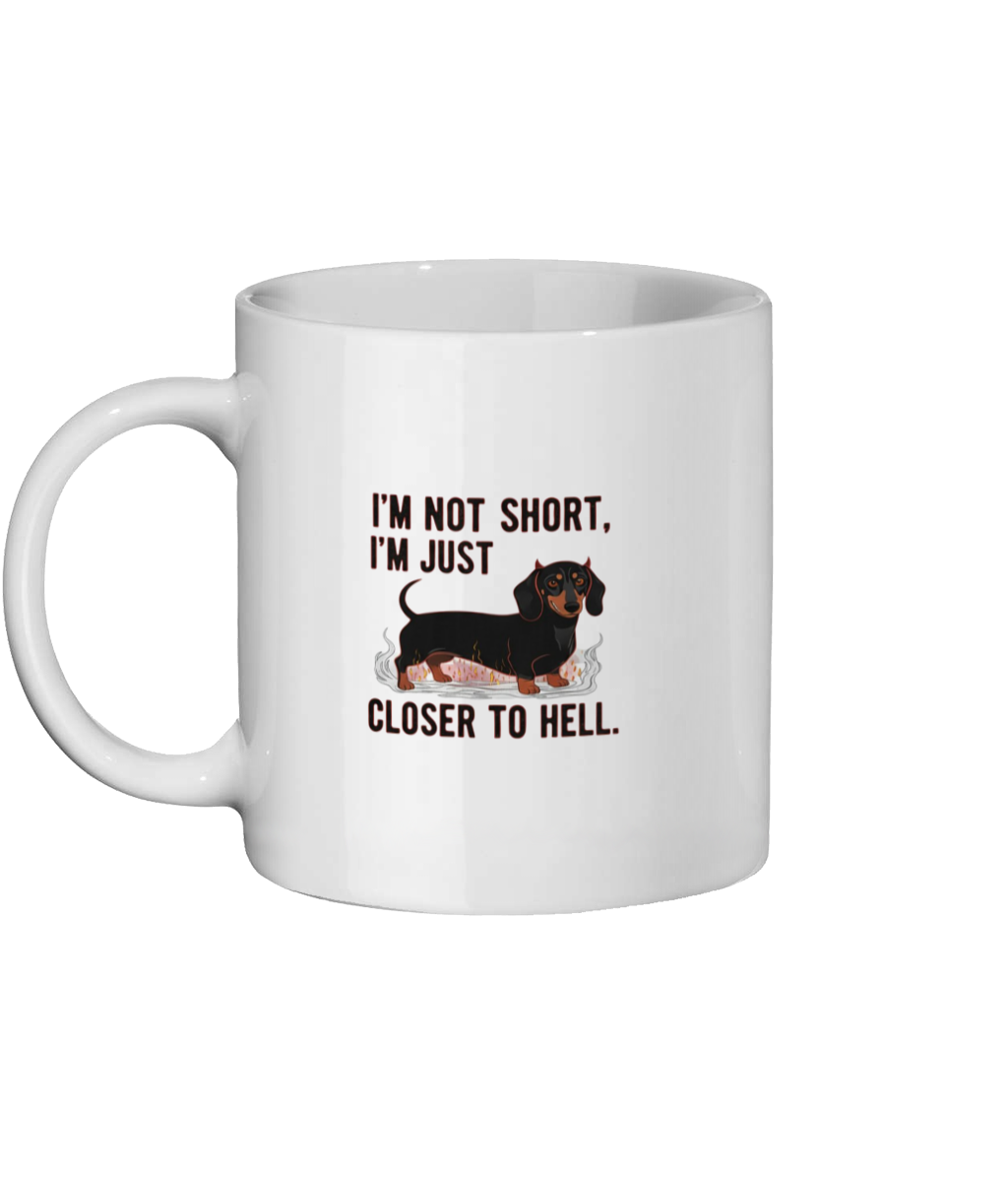 i am not short mug