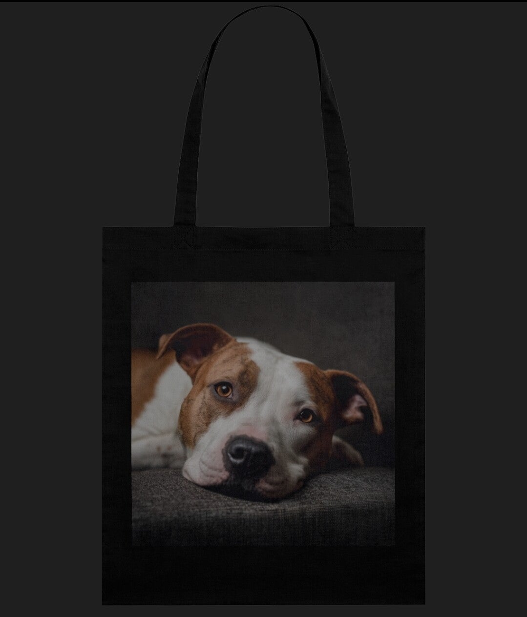 Bully bag