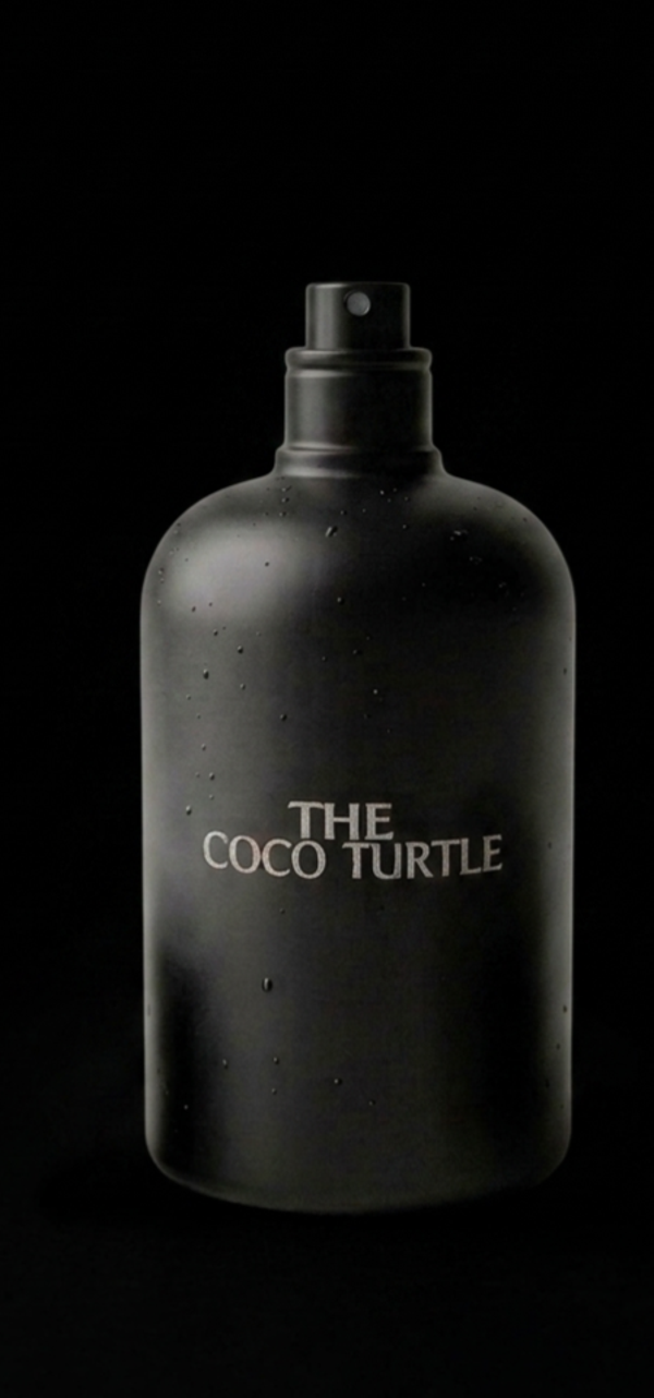 THE COCO TURTLE
