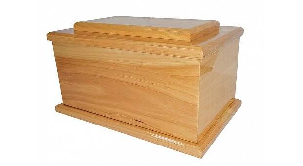 Macrocarpa Solid Wood 