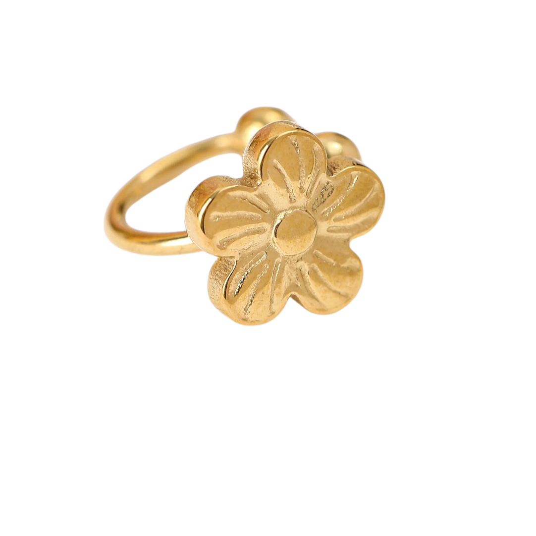 Bague d'oreilles