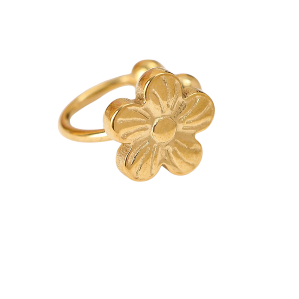 Bague d'oreilles