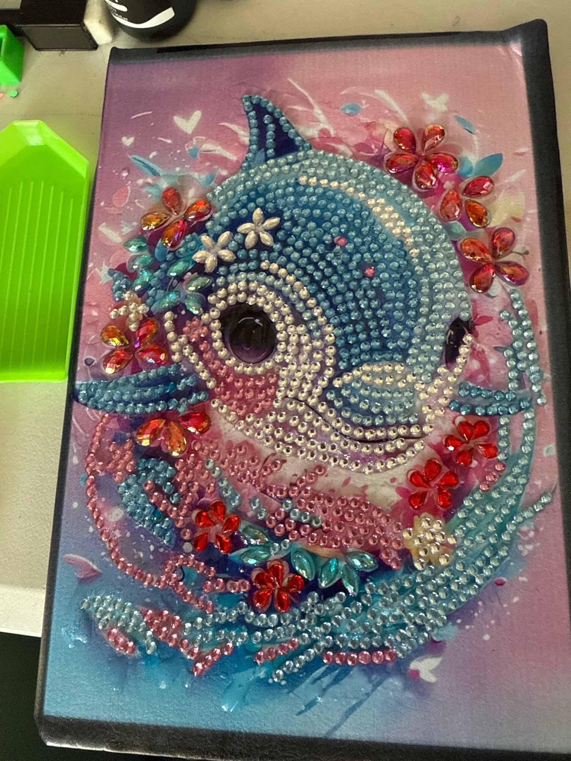 Dolphin (DP) Journal